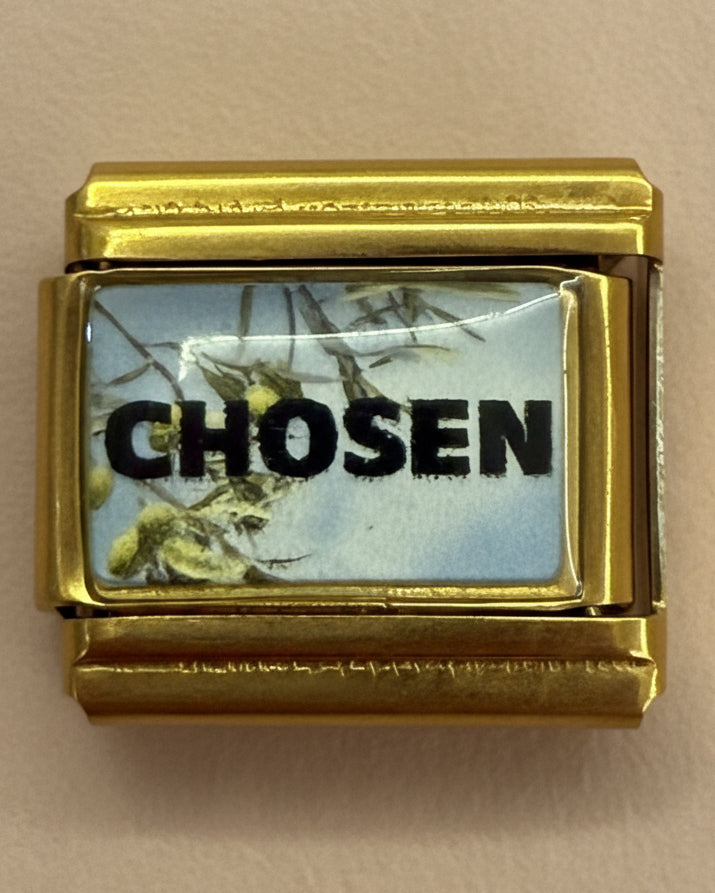 Chosen Charm
