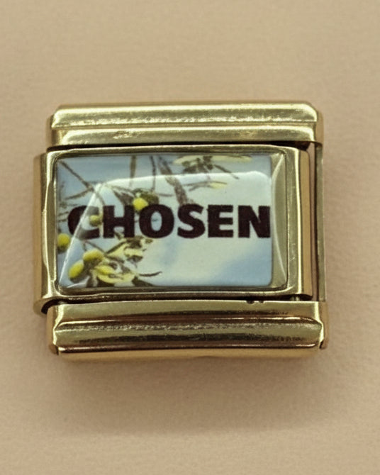 Chosen Charm