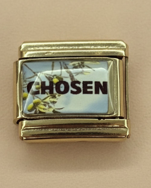 Chosen Charm
